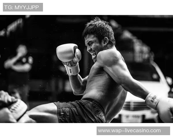 泰国搏击明星播求与中国武术代表一龙的巅峰对决解析